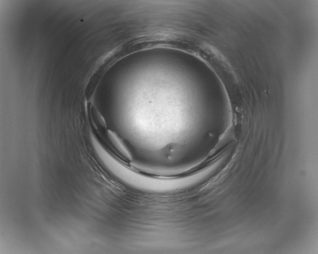 X0000076261210200609281158