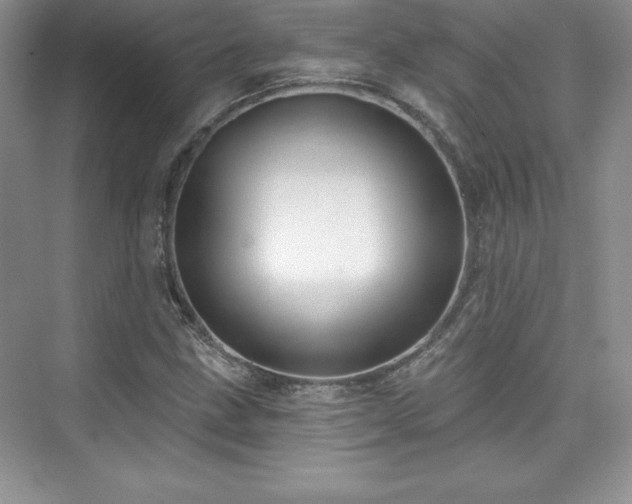 X0000076261211200609281158