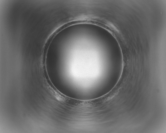 X0000076261216200609281158