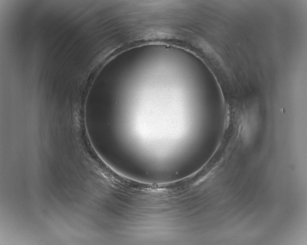 X0000076261217200609281158