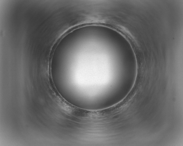 X0000076261220200609281158