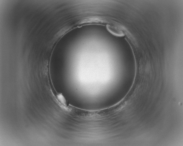 X0000076261233200609281158
