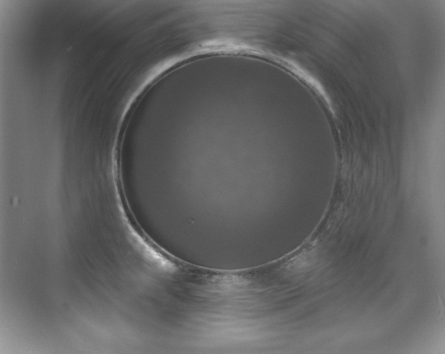 X0000076261239200609281158