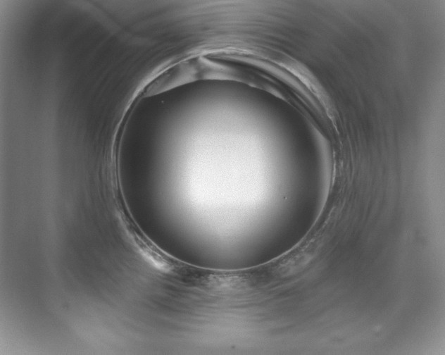 X0000076261242200609281158