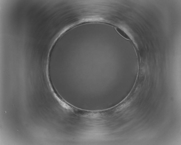 X0000076261245200609281159