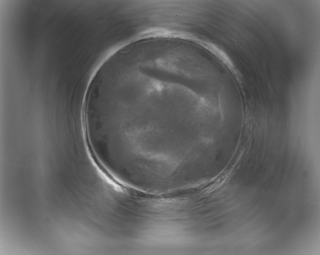 X0000076261247200609281159