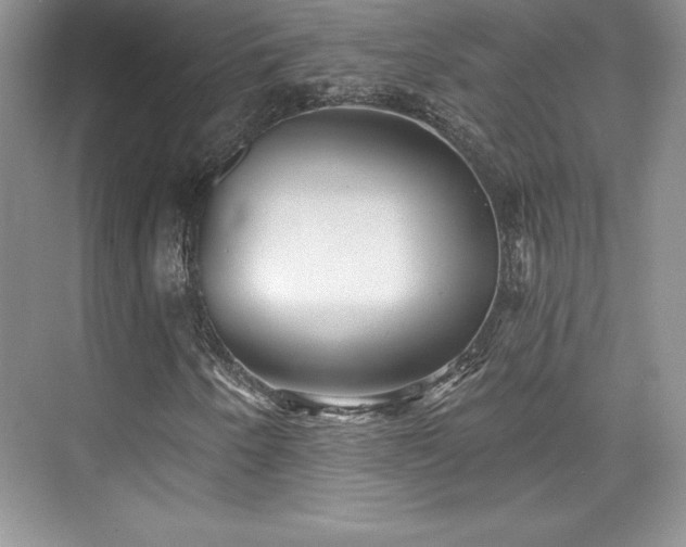 X0000076261250200609281158