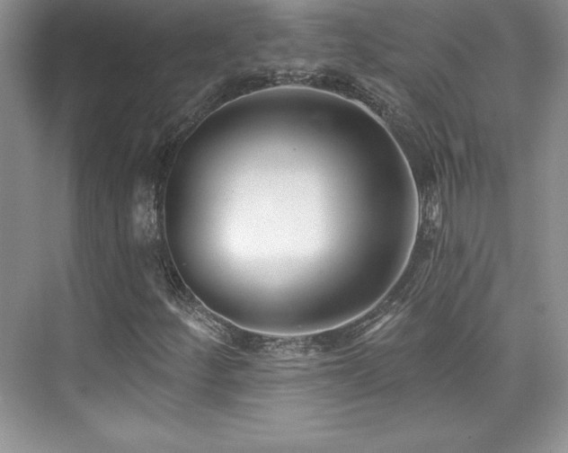 X0000076261252200609281158