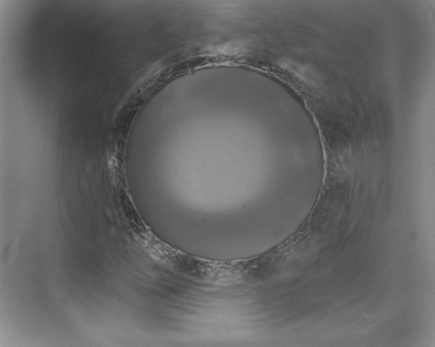 X0000076261254200609281158
