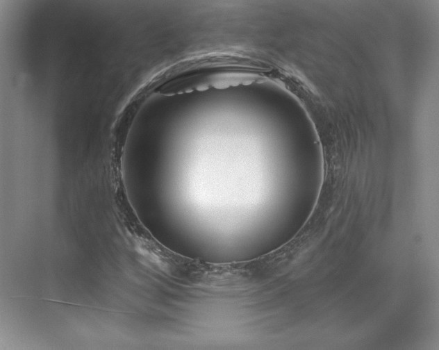 X0000076261256200609281158
