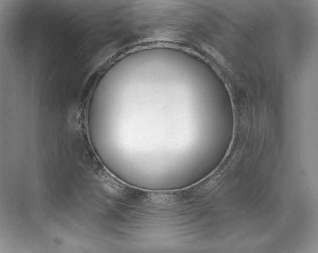 X0000076261258200609281158
