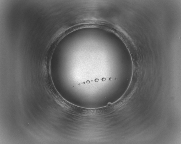 X0000076261259200609281158