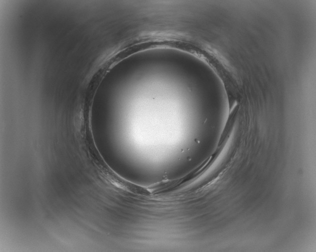 X0000076261261200609281158