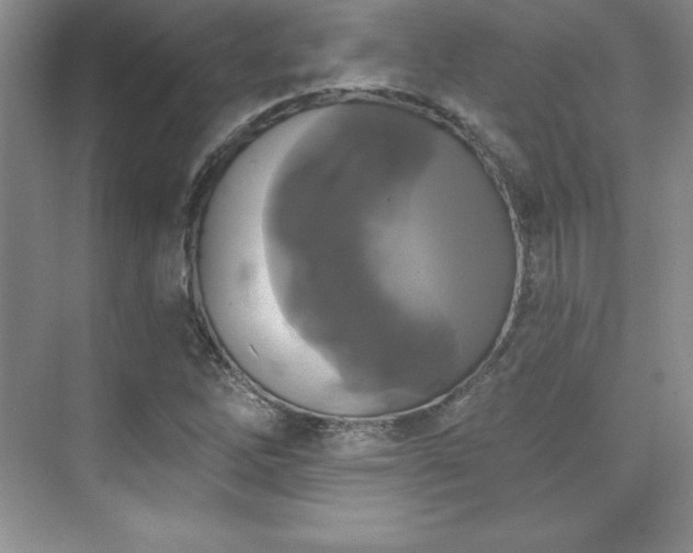 X0000076261262200609281158