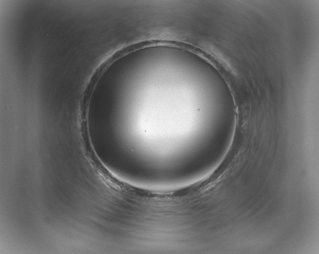 X0000076261264200609281158
