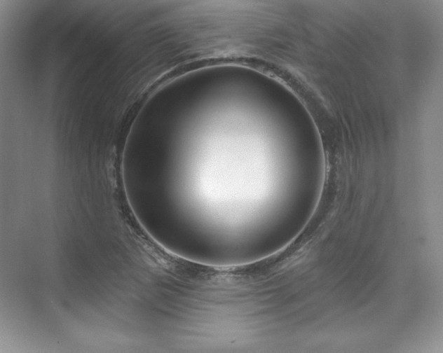 X0000076261265200609281158