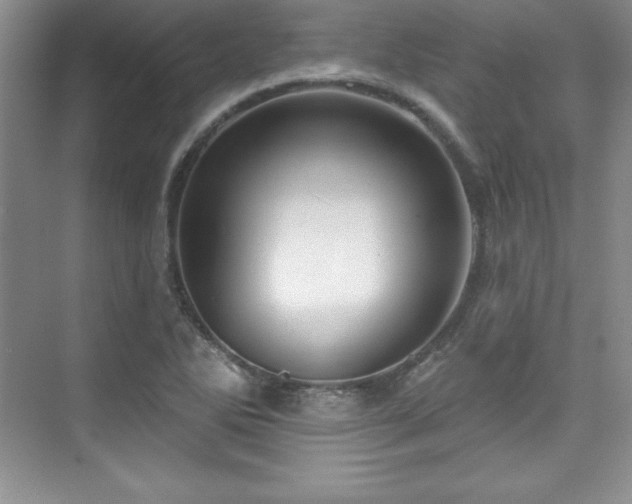 X0000076261270200609281157
