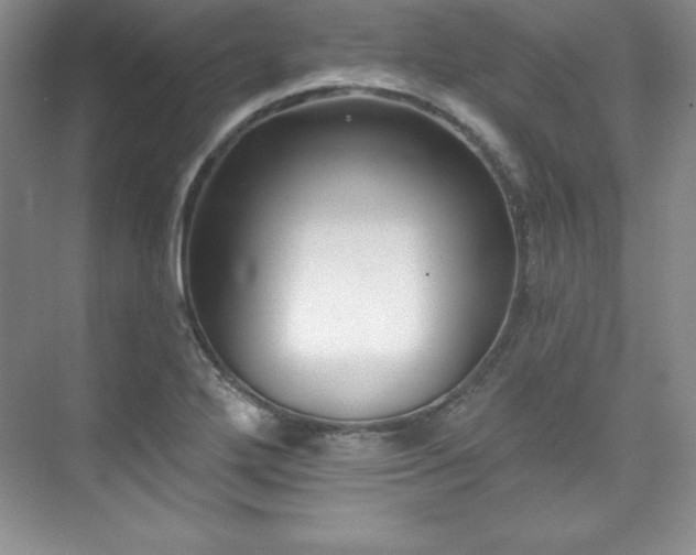 X0000076261272200609281157