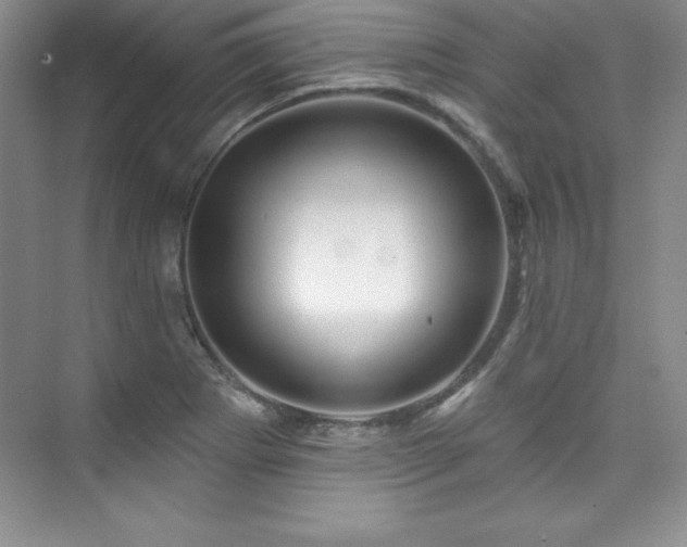 X0000076261273200609281157