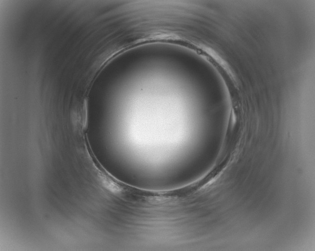 X0000076261281200609281157