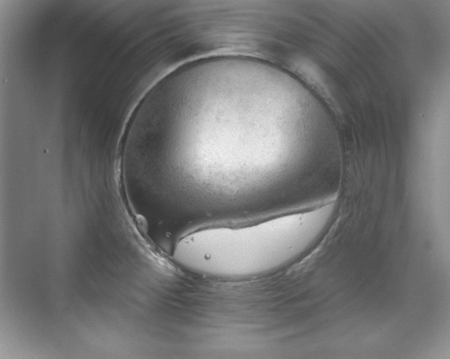 X0000076261284200609281157