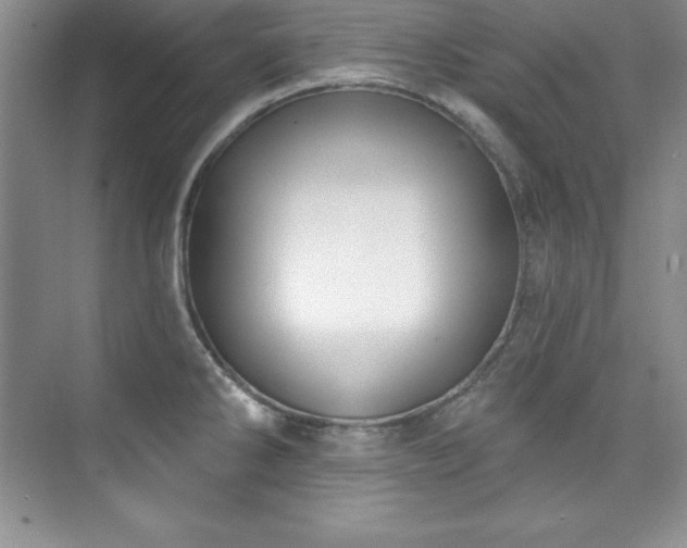 X0000076261286200609281157