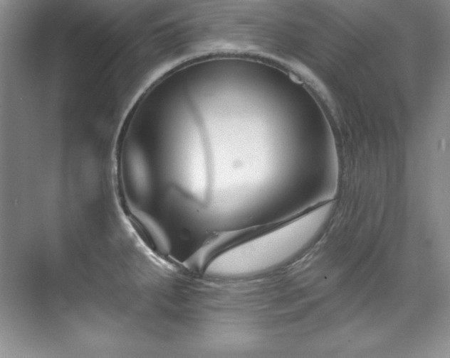 X0000076261287200609281157
