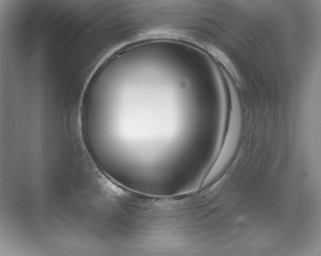 X0000076261288200609281157