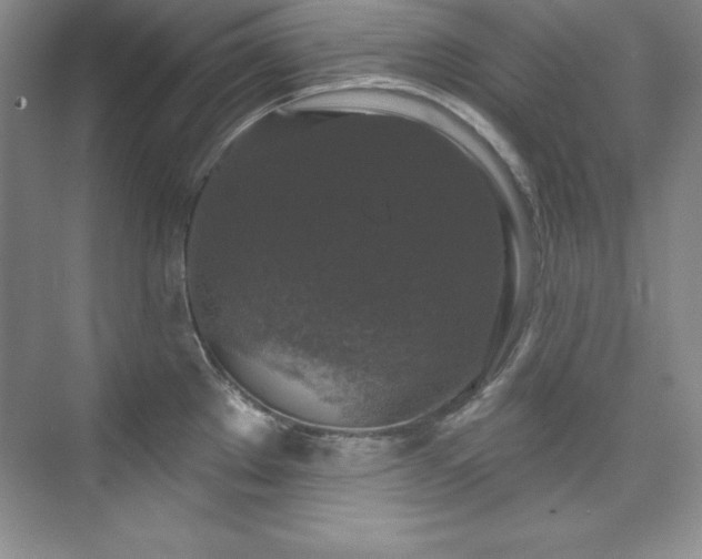 X0000076261289200609281157