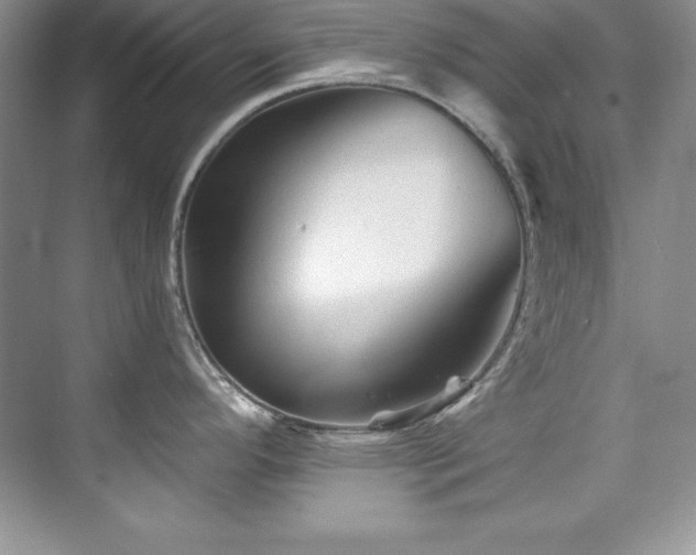 X0000076261296200609281157