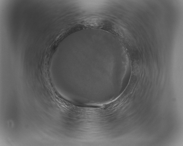X0000076261297200609281156