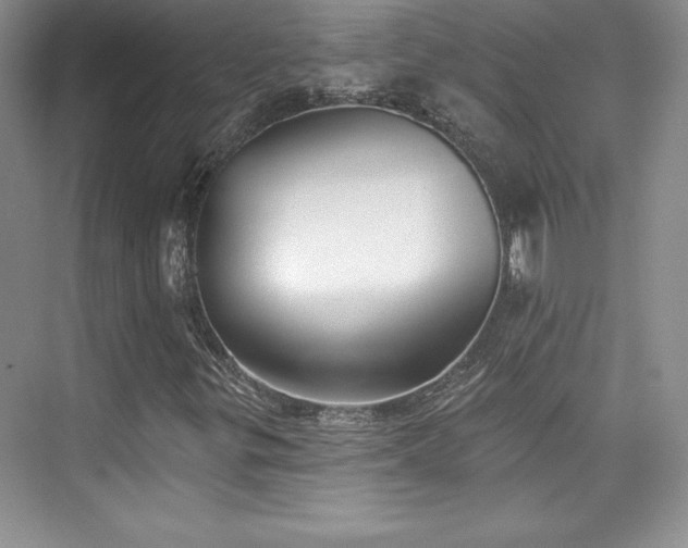 X0000076261299200609281156