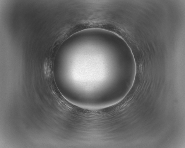 X0000076261300200609281156