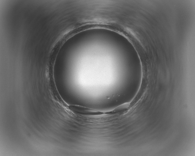 X0000076261307200609281156