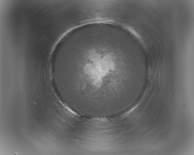 X0000076261310200609281156