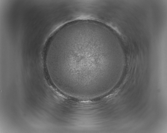 X0000076261311200609281156