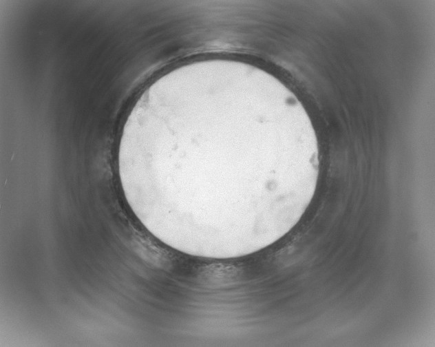 X0000076261314200609281156