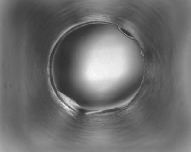 X0000076261339200609281157