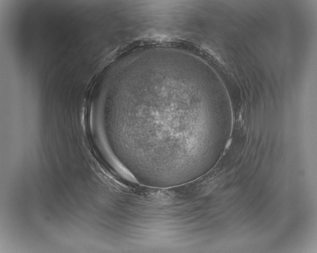 X0000076261348200609281156