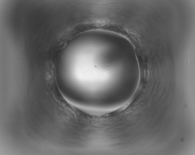 X0000076261349200609281156