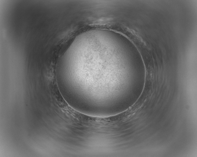 X0000076261350200609281156