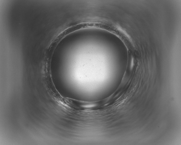 X0000076261352200609281156