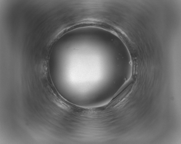 X0000076261355200609281156