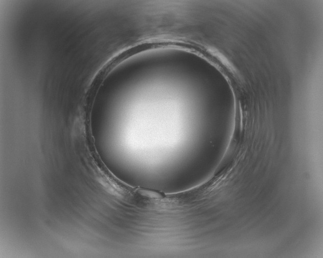 X0000076261356200609281156