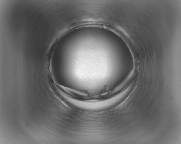 X0000076261357200609281156