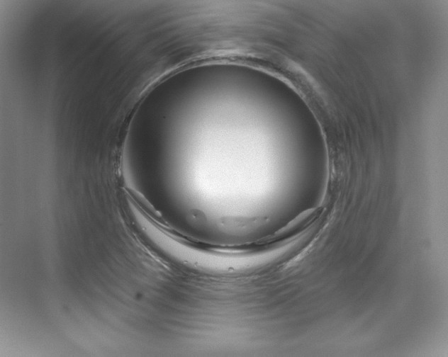 X0000076261361200609281156