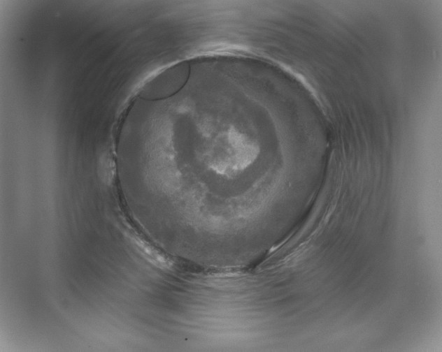 X0000076261363200609281156