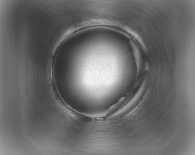X0000076261365200609281156