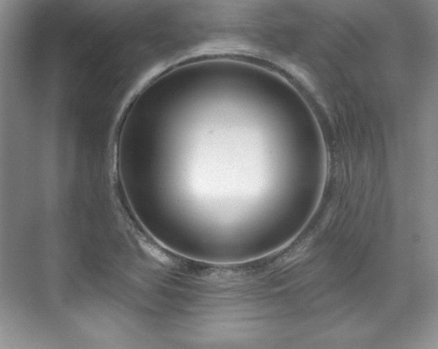 X0000076261366200609281156