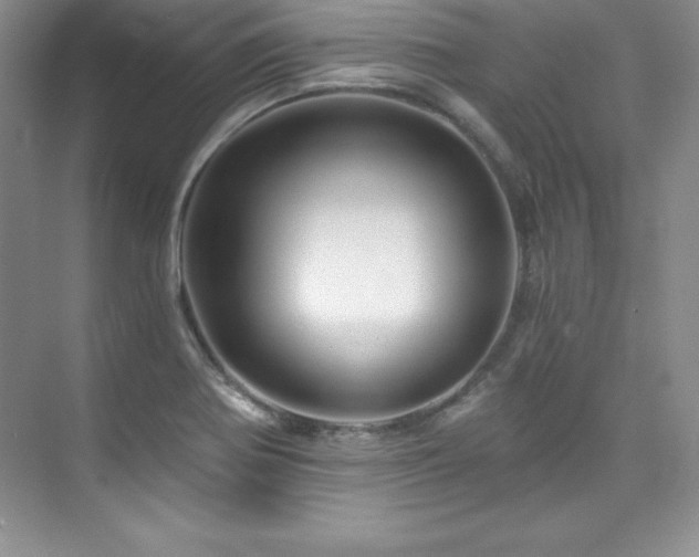 X0000076261370200609281156